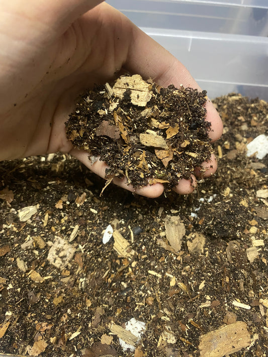 Porcellio Soil Mix