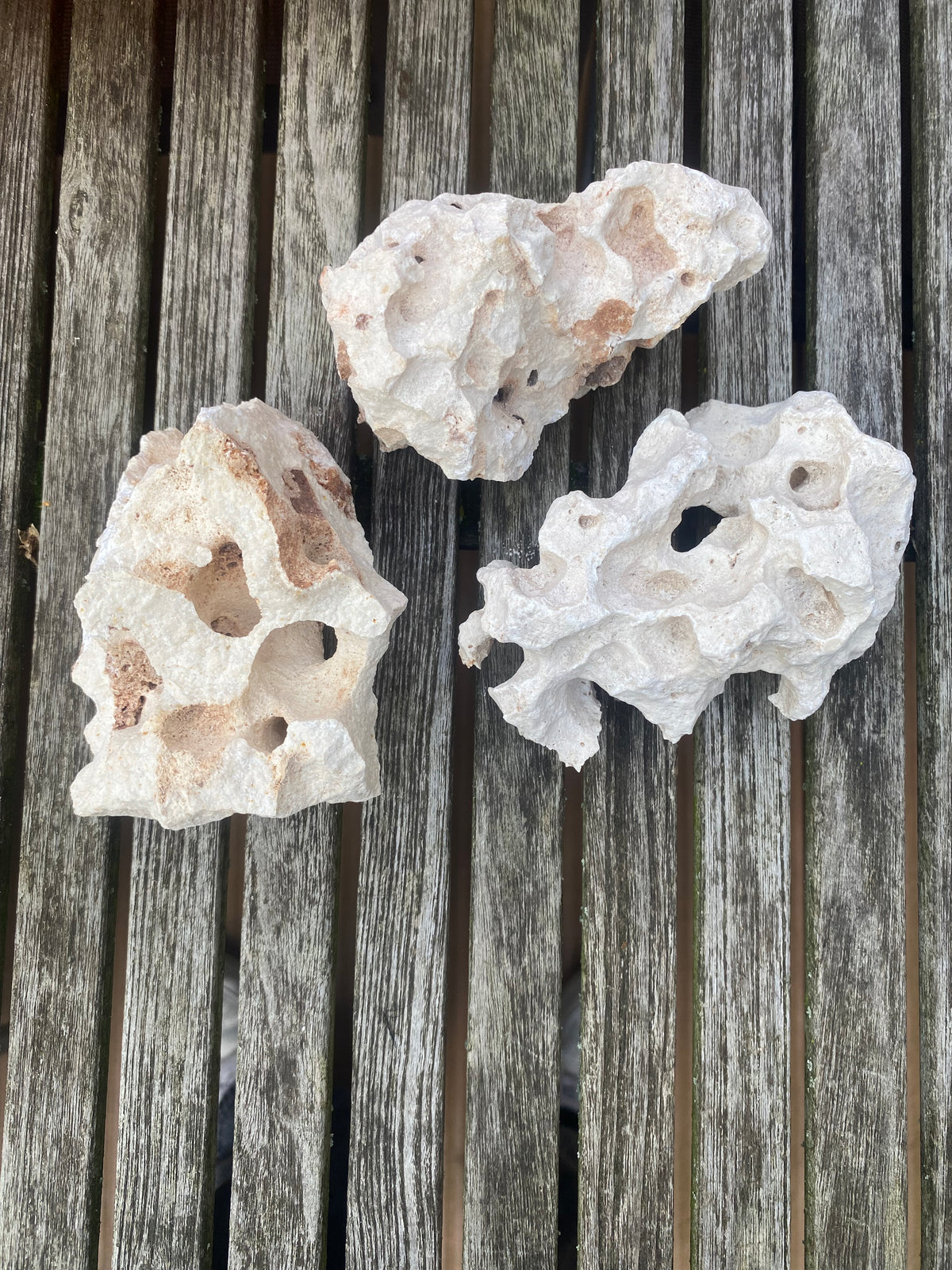 Crushed Limestone & Rocks | Supplement for Isopods – Peeters Reptiles