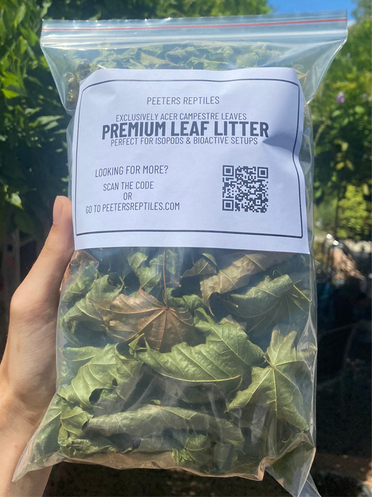Premium Leaf Litter
