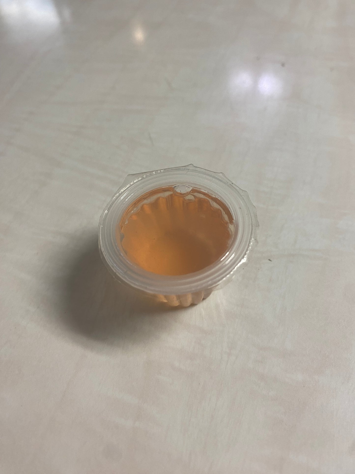 Beetle Jelly Cups – 6 Flavors Mix Pack (Protein & Energy Boost for Isopods, Beetles & Reptiles)