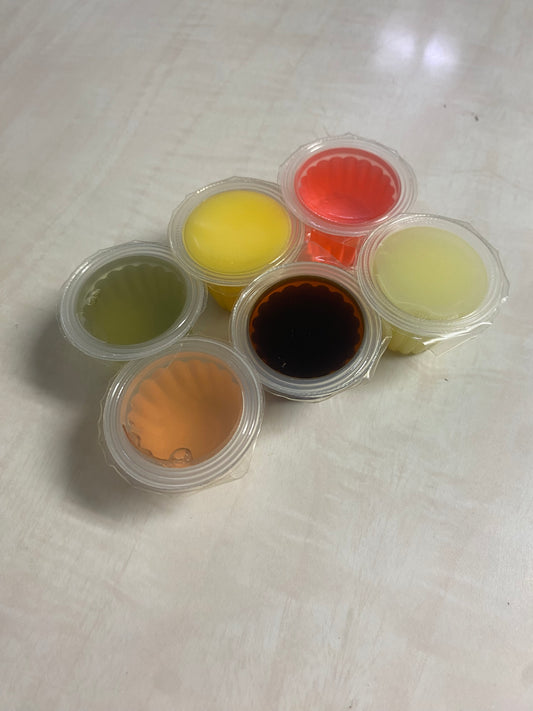 Beetle Jelly Cups – 6 Flavors Mix Pack (Protein & Energy Boost for Isopods, Beetles & Reptiles)